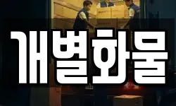 개별화물