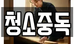 청소중독