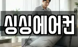 싱싱에어컨