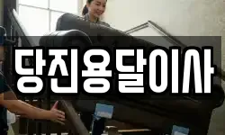 당진용달이사