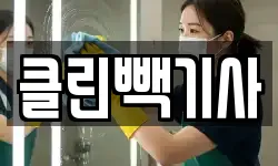 클린빽기사