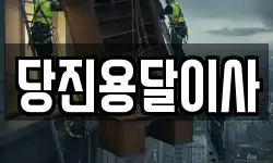 당진용달이사