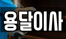 용달이사