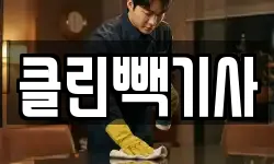 클린빽기사