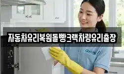 자동차유리복원돌빵크랙차량유리출장