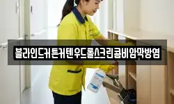 블라인드커튼커텐우드롤스크린콤비암막방염