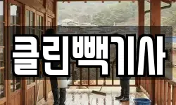 클린빽기사