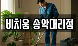 비치움 송악대리점