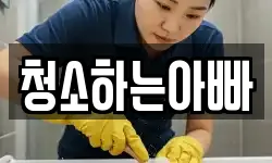 충청남도 당진시 송악읍 청소,입주청소,사무실청소,에어컨청소