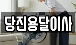 당진용달이사