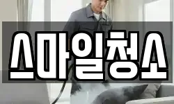 스마일청소
