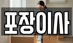 포장이사
