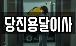 당진용달이사