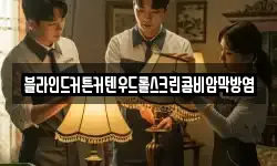 블라인드커튼커텐우드롤스크린콤비암막방염
