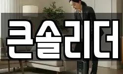 큰솔리더
