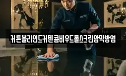 커튼블라인드커텐콤비우드롤스크린암막방염
