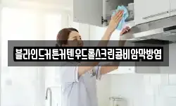블라인드커튼커텐우드롤스크린콤비암막방염