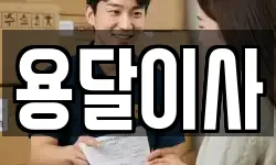용달이사