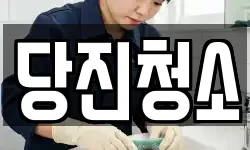 당진청소