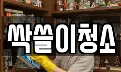 싹쓸이청소