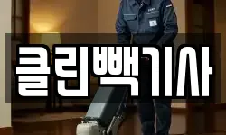 클린빽기사