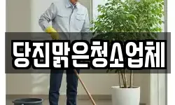 당진맑은청소업체