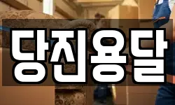 당진용달