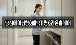 당진에어컨청소세탁기청소라온홈케어