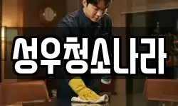 성우청소나라