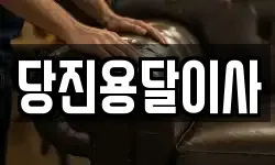 당진용달이사