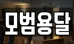 모범용달