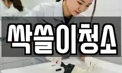 싹쓸이청소