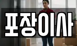 포장이사