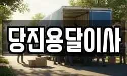 당진용달이사