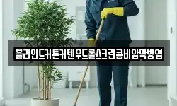 블라인드커튼커텐우드롤스크린콤비암막방염