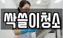 싹쓸이청소