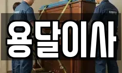 용달이사