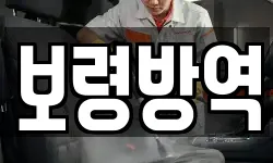 보령방역