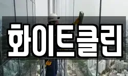 화이트클린