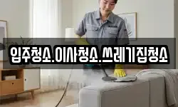 충청남도 보령시 내항동 청소,입주청소,사무실청소,에어컨청소