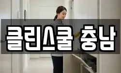 클린스쿨 충남