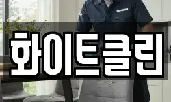 화이트클린