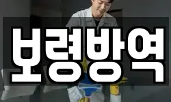 보령방역