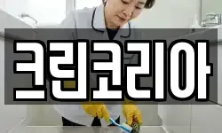 충청남도 보령시 주교면 청소,입주청소,사무실청소,에어컨청소