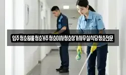 입주청소원룸청소거주청소이사청소상가사무실식당청소전문
