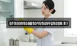 충청남도 부여군 내산면 청소,입주청소,사무실청소,에어컨청소