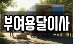 부여용달이사