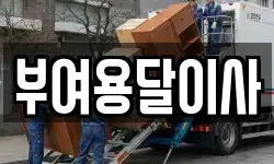 부여용달이사