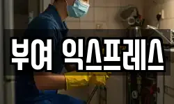 부여 익스프레스