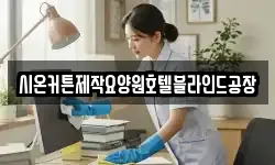 충청남도 부여군 외산면 청소,입주청소,사무실청소,에어컨청소
